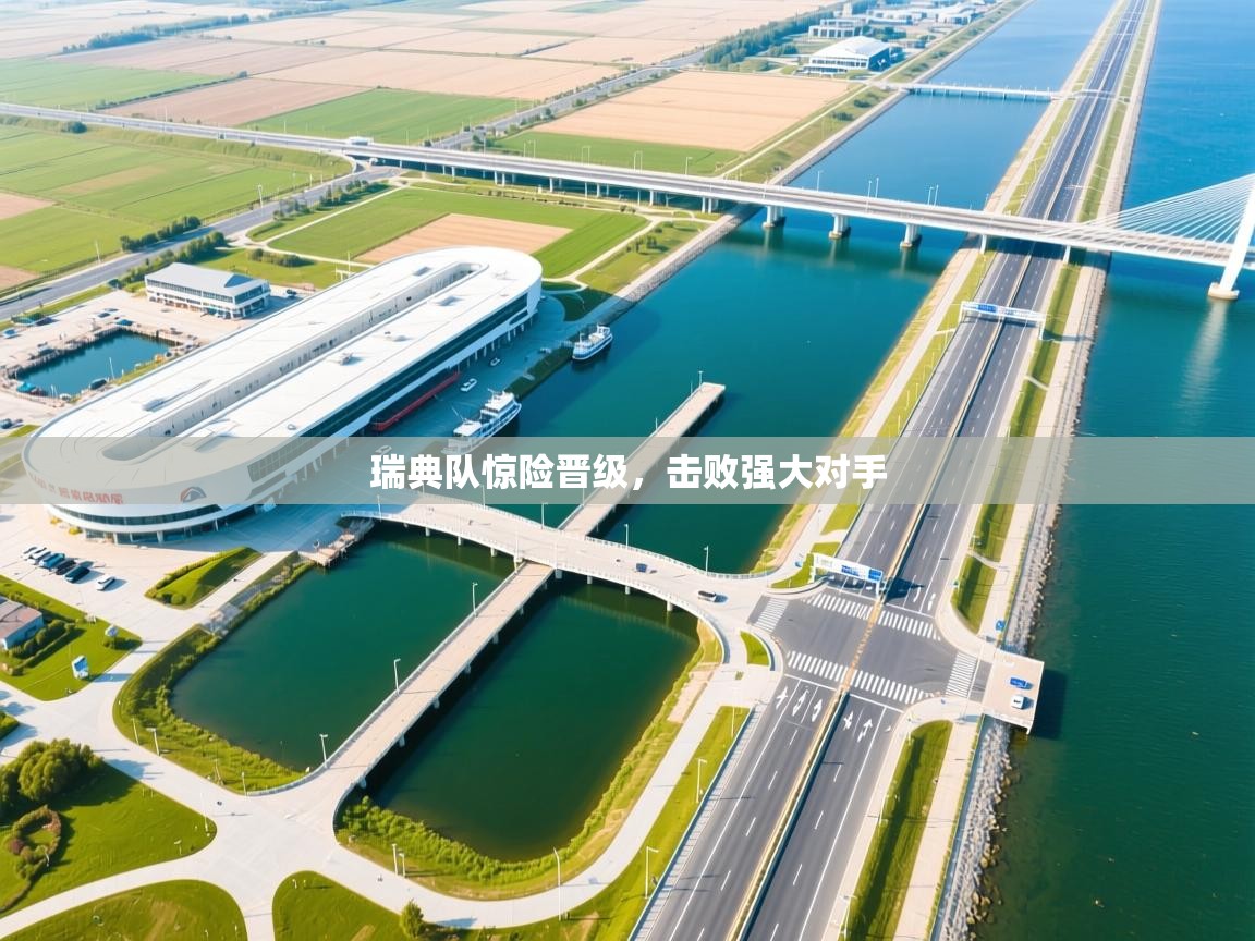 瑞典队惊险晋级，击败强大对手  第1张