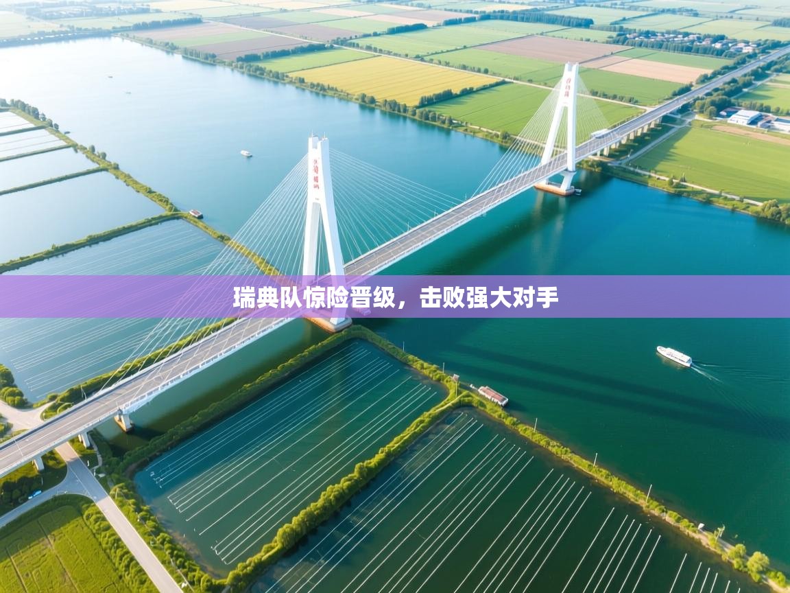 瑞典队惊险晋级，击败强大对手  第2张