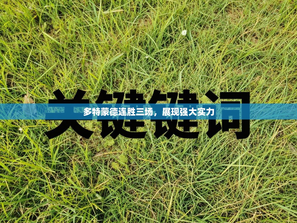 多特蒙德连胜三场,展现强大实力 第2张